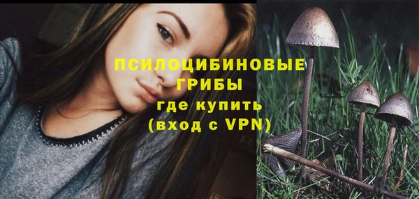 винт Горняк