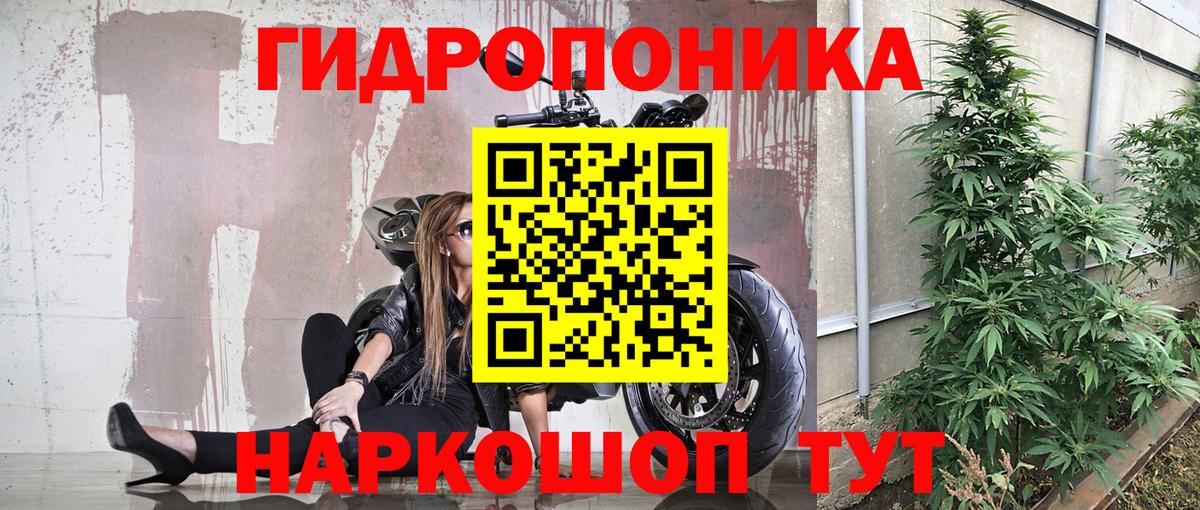 Каннабис конопля Ухта